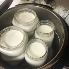 A picture of Instapot Cold Start yogurt.