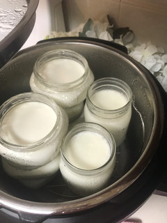 A picture of Instapot Cold Start yogurt.