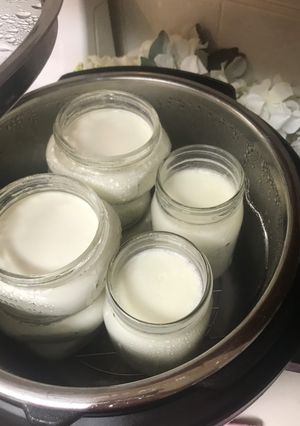 A picture of Instapot Cold Start yogurt.