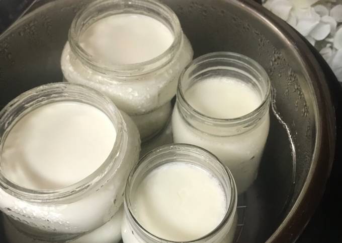 How to Make 3 Easy of Instapot Cold Start yogurt