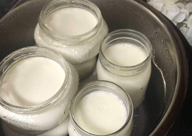 Simple Way to Prepare Quick Instapot Cold Start yogurt