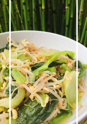 Foto resep Tumis Tauge Pak Choy