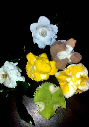 Foto resep Bolu kukus anti gagal & tips jitu