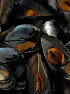 Una foto de 314. Mejillones a la plancha
