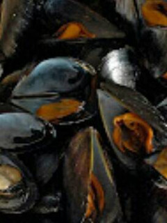 Una foto de 314. Mejillones a la plancha
