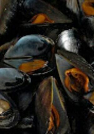 Una foto de 314. Mejillones a la plancha