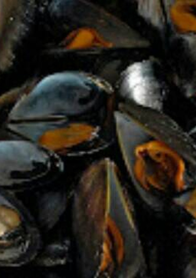 Una foto de 314. Mejillones a la plancha