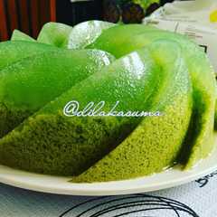 A picture of Puding lumut.