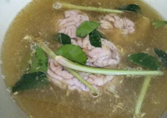 Cara Memasak Otak sapi ungkep goreng Menu Enak Dan Mudah Dibuat