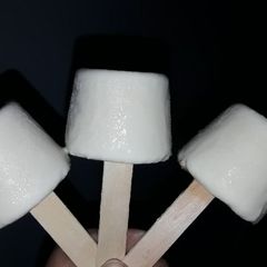 A picture of Elaichi kulfi.