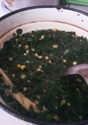 Foto resep Sayur bening semanggi kelor