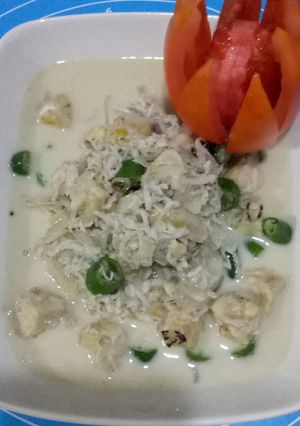 Foto resep Sayur Lodeh Tempe Teri