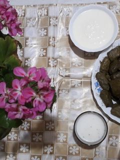 عکسی از دستور دلمه برگ مو🍇