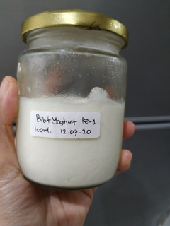 Foto resep Bibit yoghurt basah