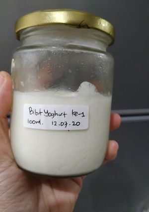 Foto resep Bibit yoghurt basah