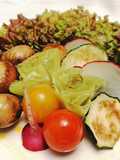 Brotes de Frescura