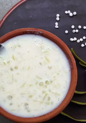 દૂધી અને સાબુદાણા ની ખીર (Dudhi Sabudana Kheer Recipe in Gujarati) રેસીપી મુખ્ય ફોટો