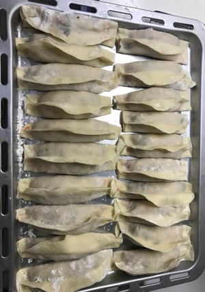 A picture of Handmade Cabbage Potstickers.