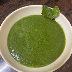 A picture of Pudina chutney.