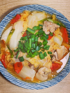 番茄雞肉燉白菜 的食譜成品照片