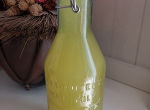 Une photo de Orangina fait Maison