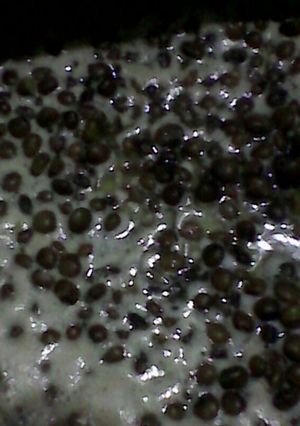 A picture of Mbaazi za Nazi(pigeon peas in coconut milk).