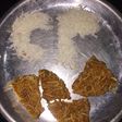કોપરા ની ચીક્કી (Kopra Chikki Recipe In Gujarati)
