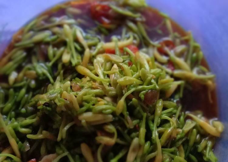 Resep Bumbu Dapur Tongseng Bunga Pepaya