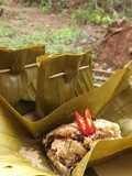 Bothok jamur