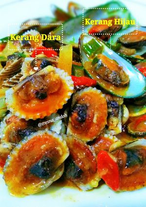 Foto resep Kerang Dara Saus Padang