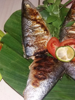 Foto resep Ikan bakar bolu/bandeng