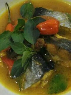 Foto resep Patin kuah kuning