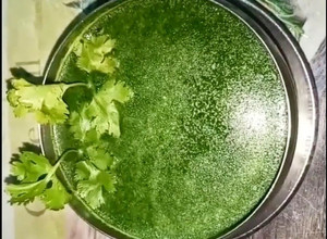 A picture of Coriander & Mint Chutney.
