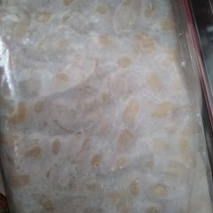 Tempeh or Tempe A picture of Tempeh or Tempe.