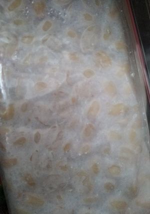 A picture of Tempeh or Tempe.