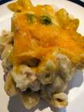 Quick and Easy Tuna Alfredo Pasta Bake