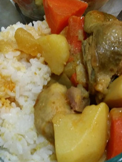 初試藍象黃咖哩醬-同醬不同命 的食譜成品照片