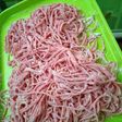 Mie telur buah naga versi II
