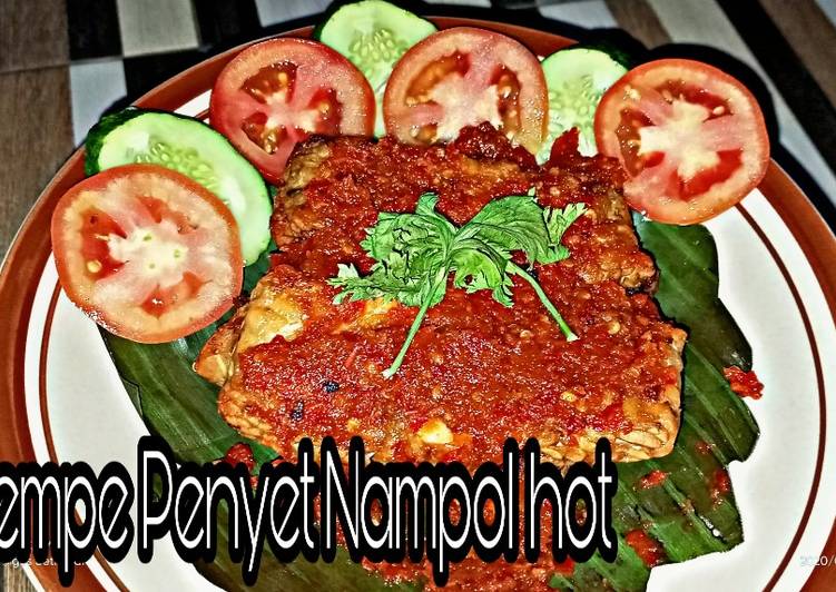 Tempe Penyet hot nampol