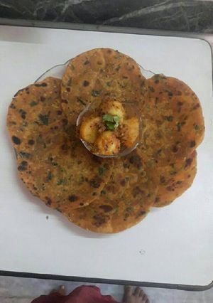 A picture of Methi Tepla.