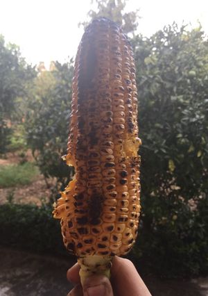 عکسی از دستور طعم دار کردن بلال🌽