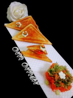 صورة لوصفة سندويشات بشكل جديد (متلث) ومذاق لذيذ 😋😋😋😋