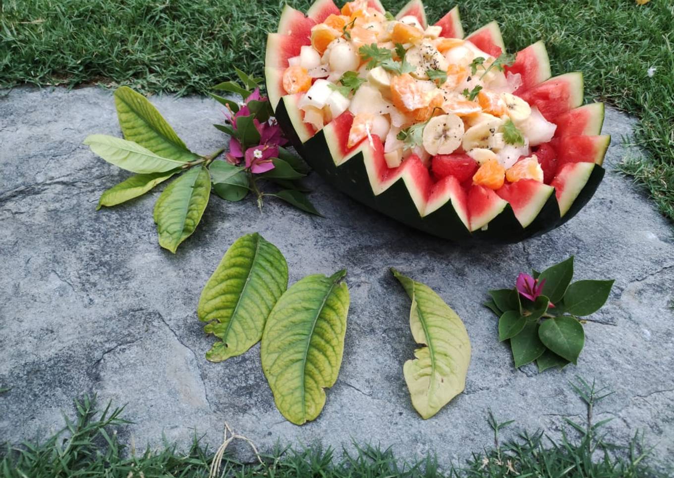 Water melon fruit chat