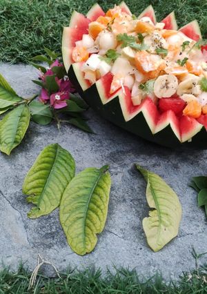 A picture of Water melon fruit chat.