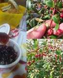 MERMELADA o CONFITURA DE MURTA