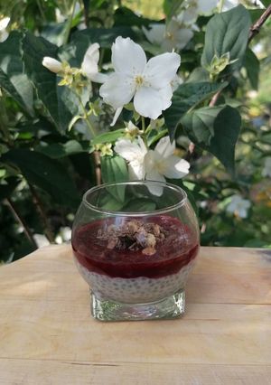 Une photo de Pudding aux graines de chia