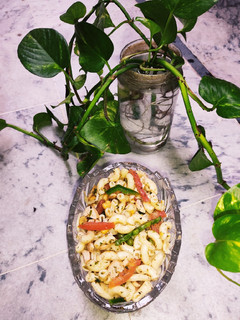 A picture of Elbow Macaroni Salad 🥗.