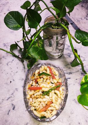A picture of Elbow Macaroni Salad 🥗.