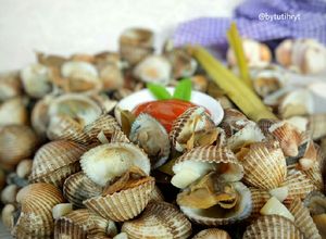 Foto resep Kerang Dara Rebus