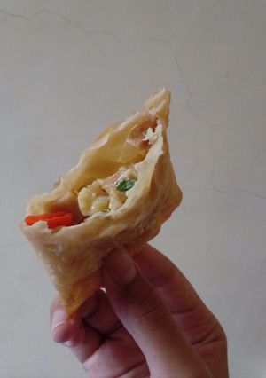 A picture of Easy Spring Roll Martabak/Murtabak.